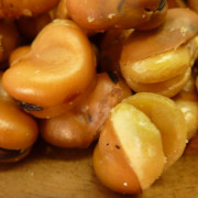 beans-ikari-001