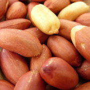 nut-peanut-001