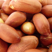 nut-peanut-001