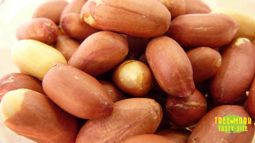 nut-peanut-001