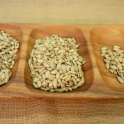 seed-sunflower-001
