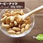 nut-bpeanut-001