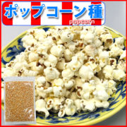 popcorn01-01